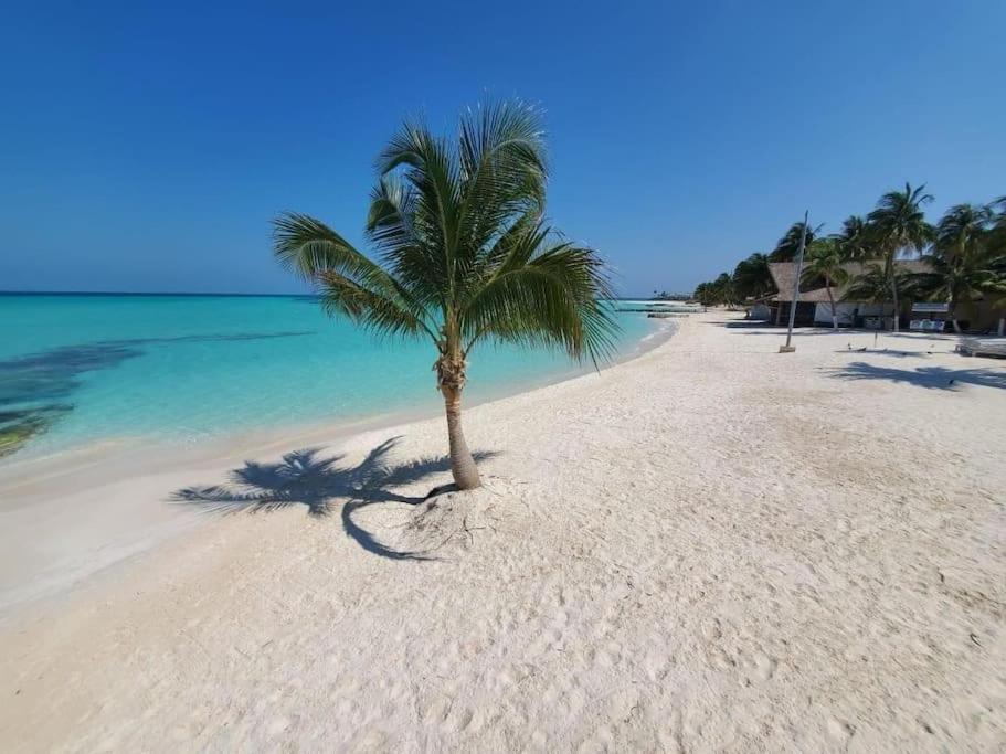 Apartmán Casa Salina Isla Mujeres Exteriér fotografie